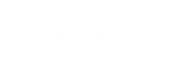 Levelsiz Logo